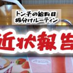 【トン子/糖尿病】近状報告【体重98.6k/脂47.7】