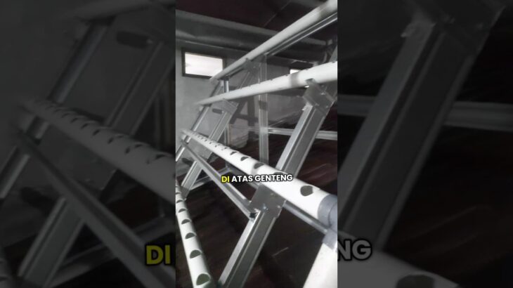 Agak Lain, Instalasi Hidroponik NFT Diatas Genteng #shorts #education #hidroponik