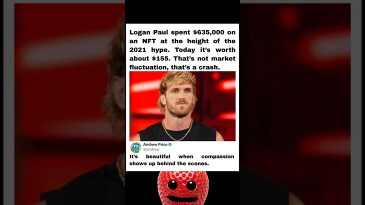 At the peak of the NFT frenzy in 2021, Logan Paul  loss publicly