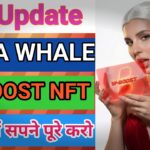 Big Update Meta Whale W-Boost NFT 2026 में इतिहास रचने वाले हैं। आप क्या कर रहे हों?