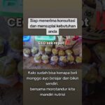 CEO sedang menyamar jadi petani #ceo #abmix #pertanian #hidroponik #greenhouse #nft #fyp #melon