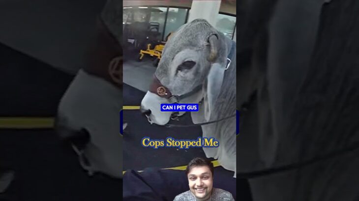 Cops Stopped Me  #funny #earnmoney #investment #reaction #comedy #business #gaming #memes #nft