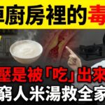 【廚房裡的合法毒藥】高血壓、糖尿病全是吃出來的？物理學中醫揭露「五味殺手」真相，一碗「太極米漿」重啟身體自癒力！#倪海廈 #中醫 #經方派 #養生 #健康 #物理學中醫 #黃帝內經 #自然療法 Enc