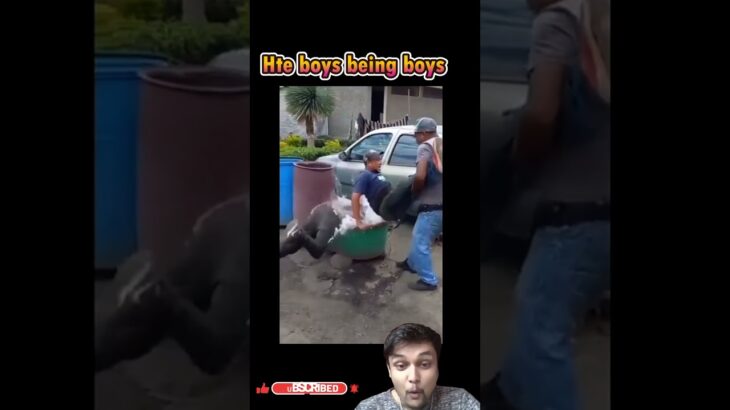 Hte boys being boys  #nft #affiliatemarketing #earnmoney #investment #business #education