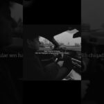 Kanalimda 2026-yilda “NFT/Memkoin/Kriptoda 0dan 10.000$ga” bo’yicha video qo’llanma bor✅