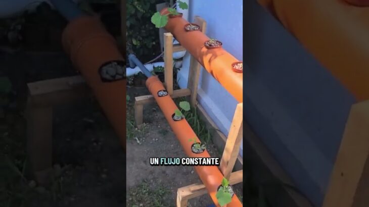 Muchos abandonan NFT porque nadie les explica esto ⚠️No es difícil… pero requiere precisión.