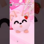 My fav pets in my inv!!💞 NFT unless huge op😔 || #adoptmeroblox