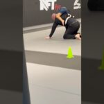Nft Gym Kaarst Atilla BJJ