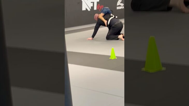 Nft Gym Kaarst Atilla BJJ