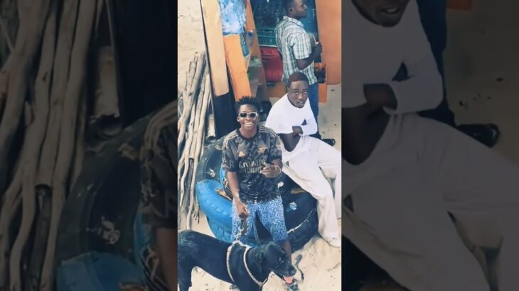 Nft site 🔥🔥.  #nftcypher#undergroundrap #254music #viral #kilifi #mombasa #nairobi #kenyanmusic #fyp