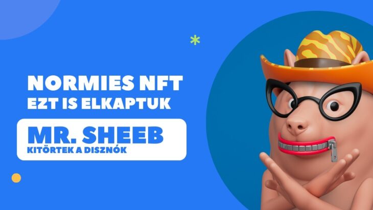 Normies NFT – ezt is alkaptuk / Mr. Sheeb – kitörtek a disznók / NFT piaci körkép / Napi mintek