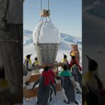 Penguins vs. Bears #cartoon #nft #nft #motupatlunewepisodeinhindi #animation #memes #art #music #cr7