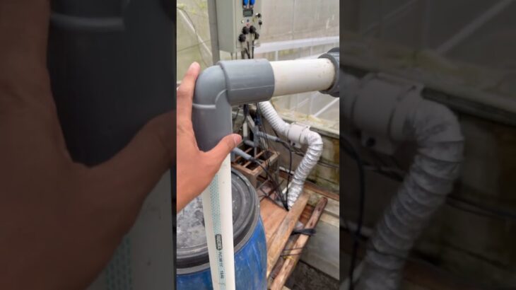 Pompa celup untuk kebun hidroponik melon #hidroponik #budidayatanaman #nft #melonhidroponik