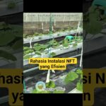Rahasia Instalasi NFT yang Efisien
