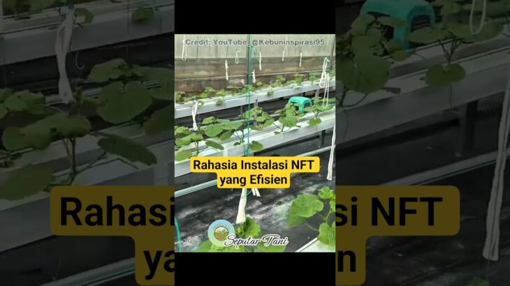 Rahasia Instalasi NFT yang Efisien