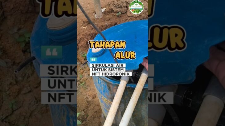 Tahapan Alur Sirkulasi Air Untuk Sistem NFT Hidroponik.#petanihidroponik #petanimilenial