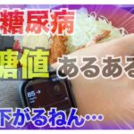【糖尿病 Type1 】糖尿病あるある！！何回打つねん、いつ血糖値下がるねんと思う糖尿病の私の外食血糖値推移…かつやバージョン