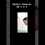 Update semaian GH 5 & 6 #semaimelon #semai #hidroponik #hidroponik #nft #melon #inthanon #melon #fyp