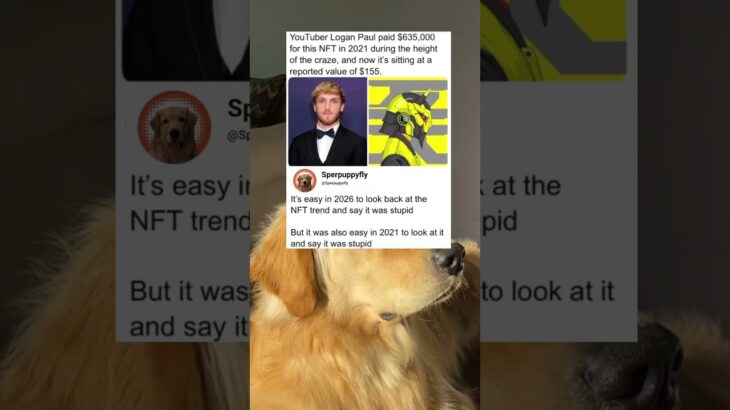 YouTuber Logan Paul paid $635,000 for this NFT in 2021