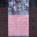 春节糖尿病预防口诀，请记牢#養老生活 #养生 #糖尿病 #food