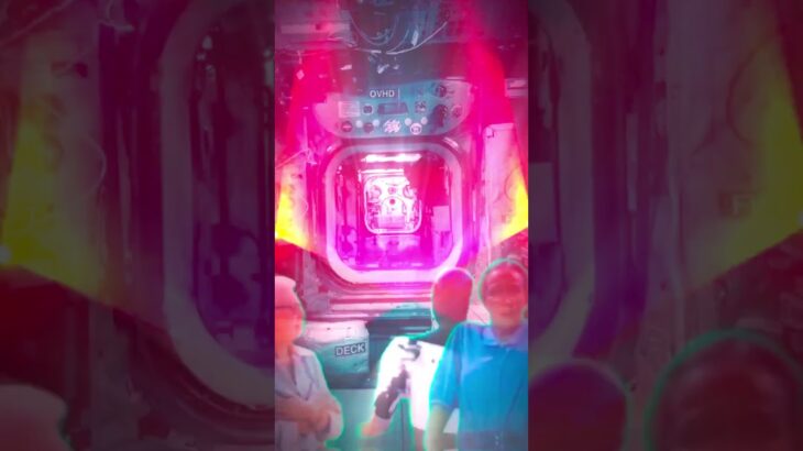 #lifeisbutadream #music #cyberpunk2077 #ihavethisthingwithplants #nft #nothingimposibleinthisworld