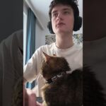 Сделал нфт кошелёк #разработка