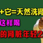 糖尿病不敢吃蜂蜜？它是肾脏的清道夫，不是死糖！这样喝，肌酐值狂降，救回你濒临衰竭的肾！#倪海廈  #倪師 #中醫養生#中醫智慧#健康养生  #台灣中醫 #經方智慧 #養生 #國學智慧