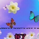 二型糖尿病应优先减重！￼