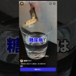 糖尿病の漢方薬♪🤗