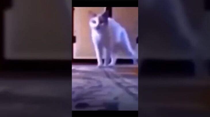 菠蘿菠蘿蜜，我有糖尿病