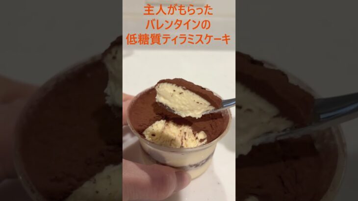 糖尿病の主人に糖質カットのバレンタインケーキ＃えーこれで低糖質なんじゃー甘くて美味しい