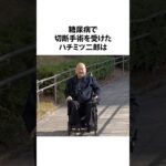 #ハチミツ二郎#東京ダイナマイト#プロレスラー #糖尿病 #シングルファザー #雑学