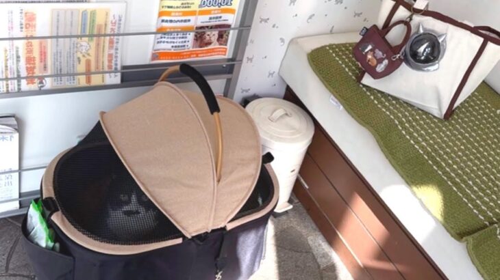 糖尿病でした、一旦泣いた