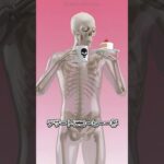 ご飯を食べてケーキにコーヒーまで、血糖値はどうなる？