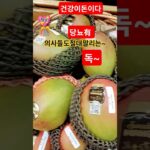 당뇨있으면독인과일#청낭