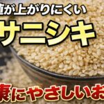 糖尿病が気になる人へ【お米を変えるだけで違う？】ササニシキとは