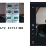 糖尿病用薬リベルサス　セマグルチド服用二日目