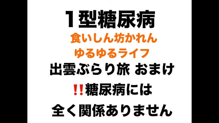 【１型糖尿病】出雲ぶらり旅！！糖尿病とは無関係のおまけ動画
