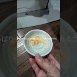 朝、やっパリ一緒に起きてくれるコチャピ #糖尿病網膜症 #元野良猫 #猫のいる暮らし #膀胱 炎