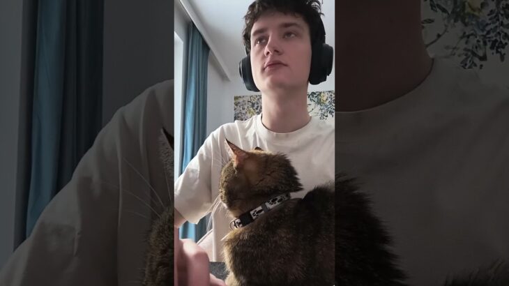 Сделал нфт кошелёк #разработка