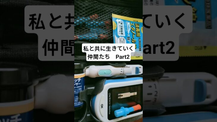 #1型糖尿病 #リブレ