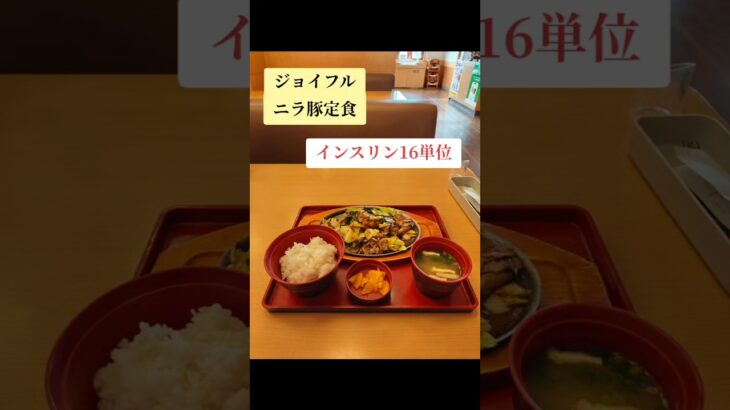 ジョイフル　ニラ豚定食　1型糖尿病ランチ　インスリン16単位
