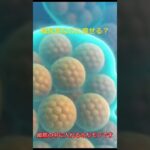 糖尿病なのに痩せる？　#糖尿病#1型糖尿病#医療解説#医学雑学#健康知識#医学生#生活習慣病 #youtubeshorts