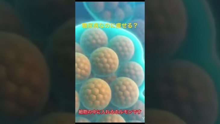 糖尿病なのに痩せる？　#糖尿病#1型糖尿病#医療解説#医学雑学#健康知識#医学生#生活習慣病 #youtubeshorts