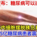 中国向世界宣布：糖尿病可以逆转！治愈1.5亿糖尿病患者，激活体内细胞摆脱胰岛素，颠覆全球医学界【科技前沿】