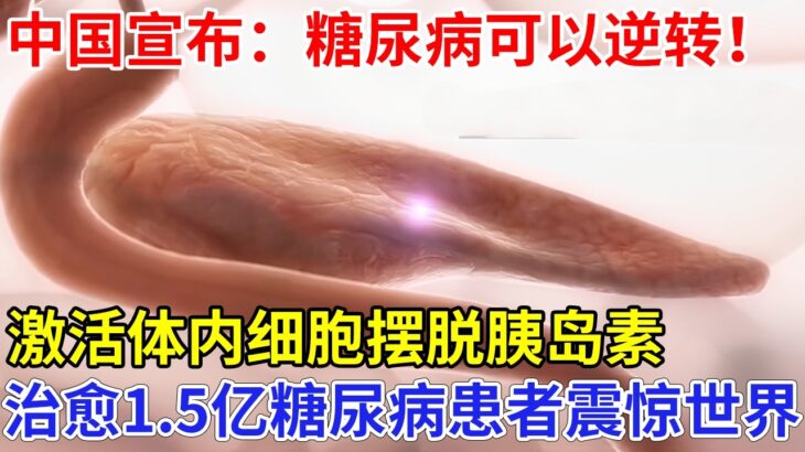 中国向世界宣布：糖尿病可以逆转！治愈1.5亿糖尿病患者，激活体内细胞摆脱胰岛素，颠覆全球医学界【科技前沿】