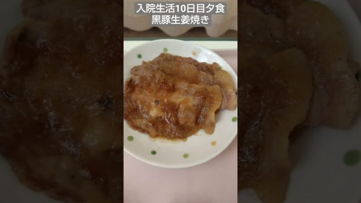 【糖尿病】黒豚生姜焼きが出て涙する！本当に病院食か？入院生活10日目夕食 #飯テロ #糖尿病 #入院 #food