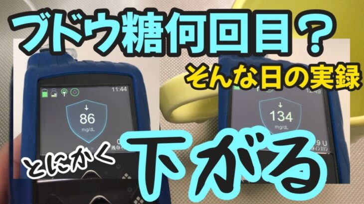 【1型糖尿病】血糖が低い！ブドウ糖必須な1日　MiniMedミニメド780G