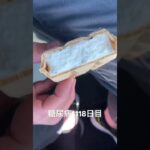 ハルネーション糖尿病界隈1118日目バニラモナカジャンボ！