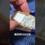 どうしてもビスケットサンドが食べたかった糖尿病1125日目